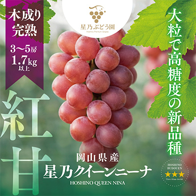 先行受付【三つ星ブランド】星乃クイーンニーナ 数量限定 3房〜5房(1.7kg以上)【配送不可地域：離島・北海道・沖縄県】【1601634】