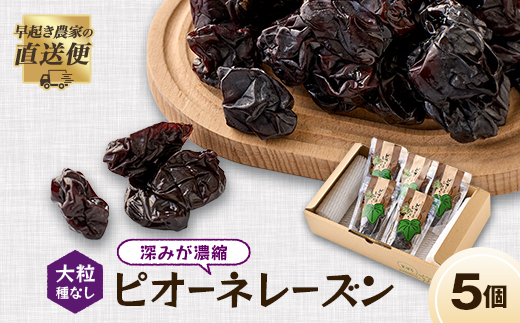 ピオーネレーズン 小袋5個セット【1596186】