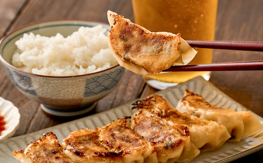 津山黒豚手作り冷凍生餃子(100個セット)【配送不可地域：離島】【1339812】