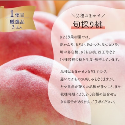 ãçºéæåºå®å®æäŸ¿ãã2026幎å
è¡äºçŽãå³éžãããå€§çæ¡3çãšå€§ç²ã·ã£ã€ã³ãã¹ã«ããå®æäŸ¿!å
š2åãé
éäžå¯å°åïŒé¢å³¶ãã4071130ã