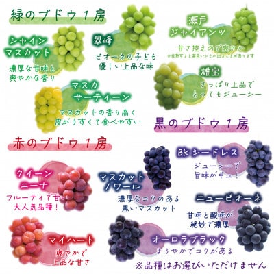 【2026年先行受付】岡山　花笑み農園のブドウ『彩り3種セット』家庭用　1.8kg(3房)3M-2家【配送不可地域：離島】【1695389】
