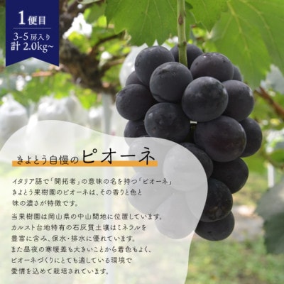 【発送月固定定期便】【2026年先行予約】ピオーネとシャインマスカットの2回便!(岡山県産)全2回【配送不可地域：離島】【4067502】