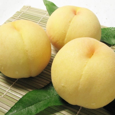 岡山県産　清水白桃3玉【冷蔵】2026年発送【配送不可地域：離島・北海道・沖縄県】【1709328】