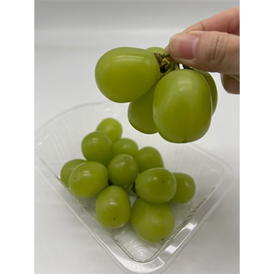 ãçºéæåºå®å®æäŸ¿ã岡山çç£ ãã«ãŒãå®æäŸ¿ããäžäººæ§åããå
š6åãé
éäžå¯å°åïŒé¢å³¶ã»åæµ·éã»æ²çžçãã4066369ã