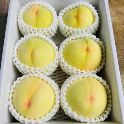 【先行受付|8月上旬頃より順次発送】岡山県ブランド『清水白桃』　約2kg(6~8玉)【配送不可地域：離島・北海道・沖縄県】【1726909】