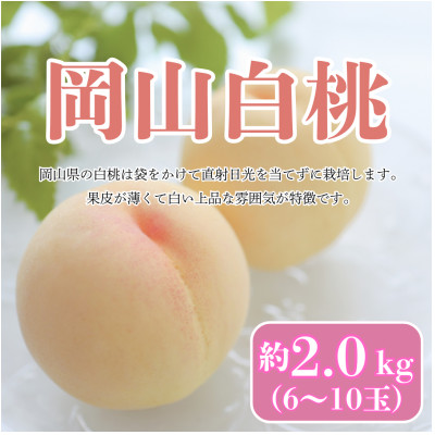 【2026年8月発送予定】岡山白桃　約2kg(6〜10玉)【配送不可地域：離島・北海道・沖縄県】【1576280】