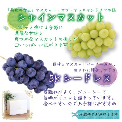 【2026年先行受付】岡山　花笑み農園『シャインマスカット&BKシードレス』1kg(2房)BS-1【配送不可地域：離島・北海道・沖縄県】【1628317】