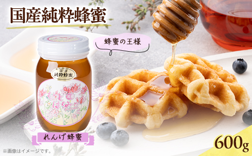 津山市産 れんげ蜂蜜　600g【1605191】