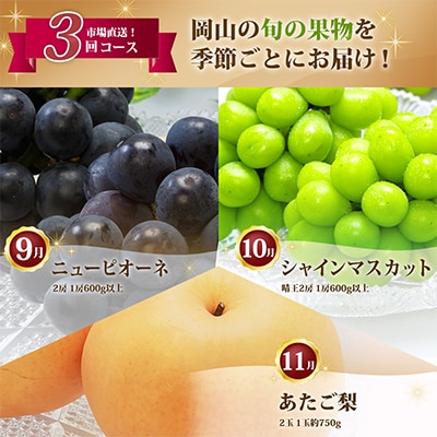 【発送月固定定期便】A 岡山県産 シャインマスカット(晴王)・あたご梨ほか全3回【配送不可地域：離島・北海道・沖縄県】【4000246】