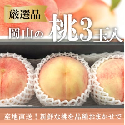 【2026先行予約】【厳選品】旬の桃(品種おまかせ)3玉入(岡山県産)【配送不可地域：離島】【1571583】