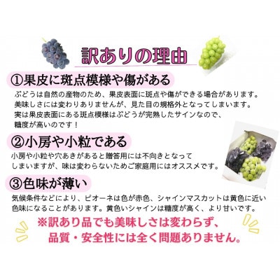 【2026年先行受付】訳あり岡山県産シャインマスカット4kg【配送不可地域：離島】【1571849】
