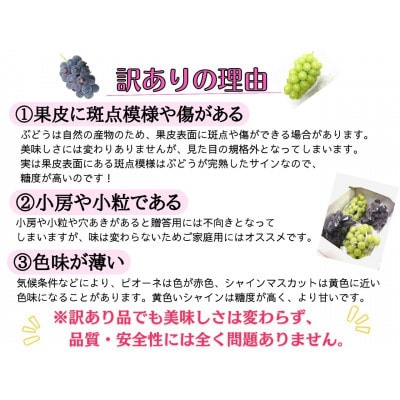 【2026年先行受付】お試しフルーツ王国岡山シャインマスカット2kg!　朝採れぶどう3〜5房【配送不可地域：離島】【1633324】