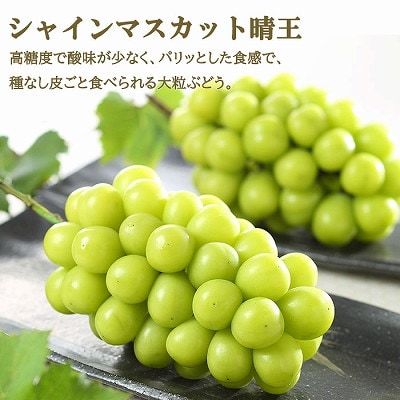 【先行受付】岡山県産　岡山白桃エースL　200g×2玉・シャインマスカット晴王400g×1房　詰合【配送不可地域：離島・北海道・沖縄県】【1308776】