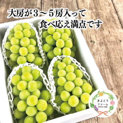 ã·ã£ã€ã³ãã¹ã«ãã äžçŽå 倧3-5æ¿/èš2.4kgã(岡山çç£) é£ã¹å¿ãæºç¹ã®ã·ã£ã€ã³ããå±ã!ãé
éäžå¯å°åïŒé¢å³¶ãã1548983ã
