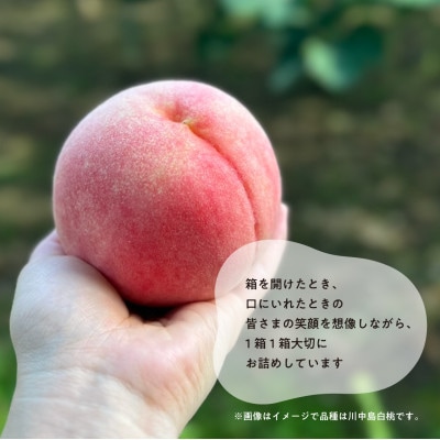 【2026年先行予約】「硬めの桃好きさん」におすすめ! 硬め桃 上級品 5-7玉(岡山県産)【配送不可地域：離島】【1696634】