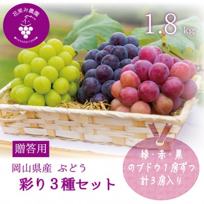 【2026年先行受付】岡山　花笑み農園のブドウ『彩り3種セット』贈答用　1.8kg(3房)3M-2上【配送不可地域：離島】【1695393】