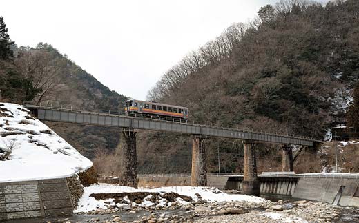 【津山・因美線】鉄道遺産を有識者の小西伸彦氏と巡る旅 体験 イベント ツアー 食事 ガイド付 駅舎 鉄道橋梁 美作河井駅 転車台 TY0-0758