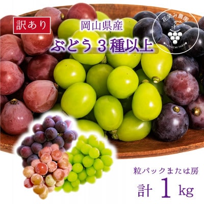 【2026年先行受付】岡山　花笑み農園のブドウ『訳あり3種以上MIX』1kg　W3M-1【配送不可地域：離島・北海道・沖縄県】【1627779】