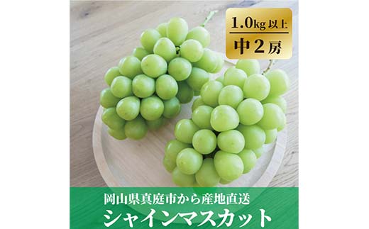 岡山県産 こだわりのシャインマスカット 中サイズ2房入 ぶどう ブドウ シャインマスカット 社員マスカット 葡萄 デザート フルーツ 果物 くだもの 果実 食品 TY0-0842