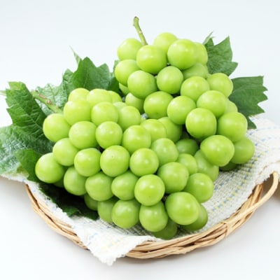 シャインマスカット&ニューピオーネ【2025年9月中旬以降順次発送】【配送不可地域：離島】【1583569】