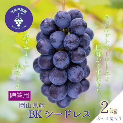 【2026年先行受付】岡山　花笑み農園の『BKシードレス』贈答用　約2kg(3〜4房)　B-2上【配送不可地域：離島・北海道・沖縄県】【1627357】
