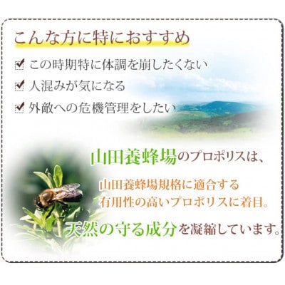 縲先ッ取怦螳壽悄萓ソ縲代励Ο繝昴Μ繧ケ邊 (486)蜈ィ6蝗槭4086621縲