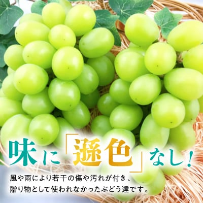 【2026年発送】訳あり!シャインマスカット晴王☆約2kg!9月上旬〜順次発送【人気の岡山産ぶどう】【配送不可地域：離島】【1378276】