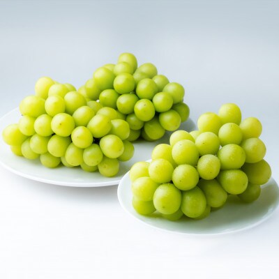 【2026年発送】岡山県産シャインマスカット　約1.3kg・2〜3房(クール便)【配送不可地域：離島】【1614355】