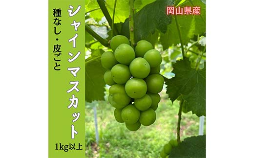 【2025年先行受付】岡山のぶどう (シャインマスカット)1kg (2房) 大粒 種なし たねなし ブドウ 皮のまま 爽やか 香り 甘い 果汁 ぶどう ますかっと TY0-0957