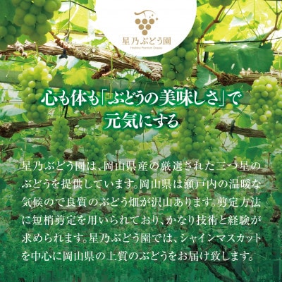 縲仙郁。悟女莉倥題ィウ縺ゅj譏滉ケ繧キ繝」繧、繝ウ繝槭せ繧ォ繝繝(蟯。螻ア逵檎肇) 3縲4謌ソ(1.8kg莉・荳)縲宣埼∽ク榊庄蝨ー蝓滂シ夐屬蟲カ繝サ蛹玲オキ驕薙サ豐也ク逵後代1626442縲