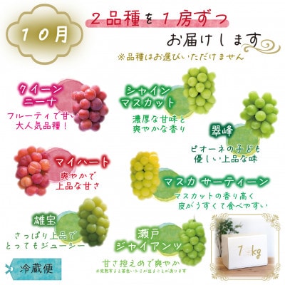 【発送月固定定期便】岡山　花笑み農園のブドウ食べ比べ　全4種全2回【配送不可地域：離島】【4082284】