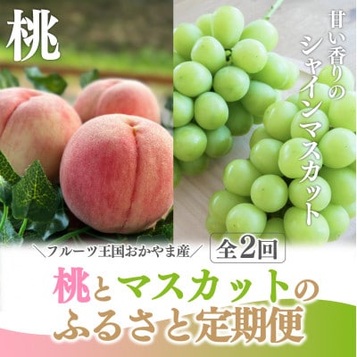 【発送月固定定期便】【2026年先行予約】桃とシャインマスカットが産地直送!ご家庭用定期便全2回【配送不可地域：離島・北海道・沖縄県】【4065365】