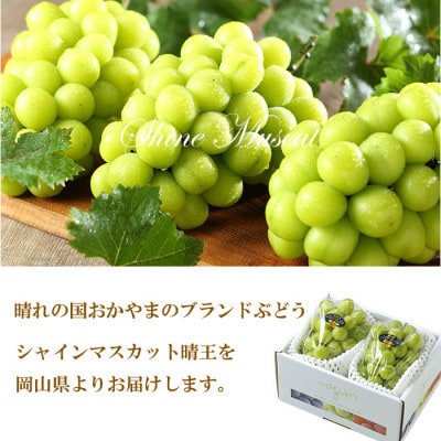 【2026年7月中旬より順次発送】岡山県産 シャインマスカット 晴王 500g×2房【配送不可地域：離島・北海道・沖縄県】【1365933】