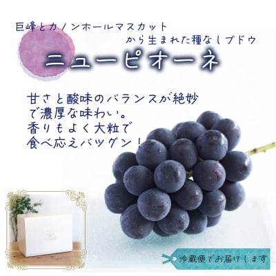 【2026年先行受付】岡山　花笑み農園の 『訳ありニューピオーネ』1kg　WP-1【配送不可地域：離島・北海道・沖縄県】【1628312】