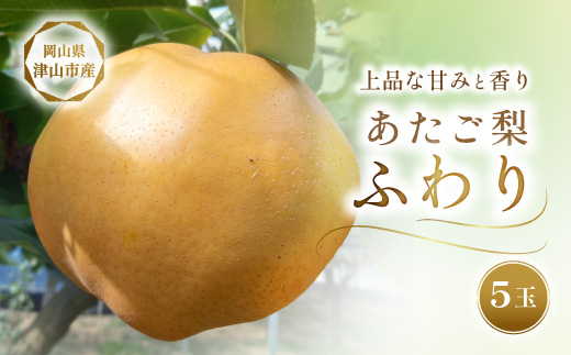 2026年11月下旬より順次発送予定　あたご梨 ふわり(5玉入り)【1626522】