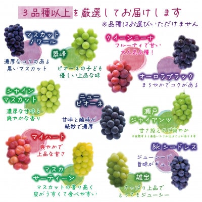 【2026年先行受付】岡山　花笑み農園『ブドウの宝石箱』3種以上(18粒入り)　3M-宝18【配送不可地域：離島・北海道・沖縄県】【1629379】