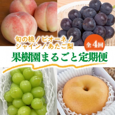 【発送月固定定期便】【2026年先行予約】桃と葡萄と梨が少しずつ届く!【お試し便】(岡山産)全4回【配送不可地域：離島・北海道・沖縄県】【4061986】
