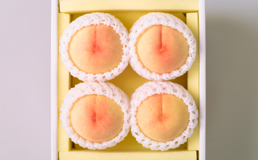 ◆先行受付◆　岡山県産　岡山白桃4〜5玉　2026年発送【配送不可地域：離島・北海道・沖縄県】【1349771】