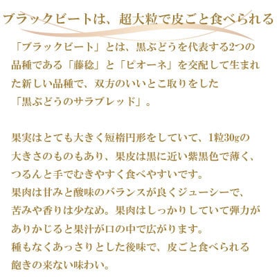 【先行受付】岡山県産　ブラックビート　700g×1房【配送不可地域：離島・北海道・沖縄県】【1400526】