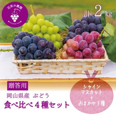 【2026年先行受付】岡山　花笑み農園の『食べ比べ4種』シャイン入り　贈答用　2kg(4房)4M-2【配送不可地域：離島・北海道・沖縄県】【1626792】