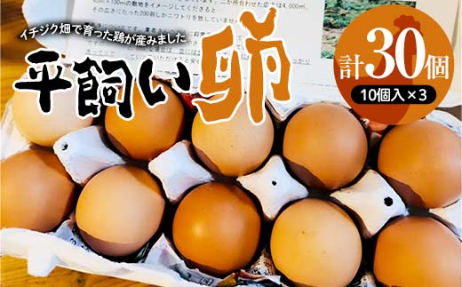 イチジク畑で自然と共に育ったニワトリが産んだ平飼い卵10個入×3パック 卵 鶏卵 濃厚 自然飼料 広々飼育 TY0-0870