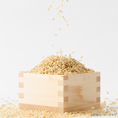 【突鉱土育ち】津山産トッコウ米(こしひかり)玄米30kg【1361987】