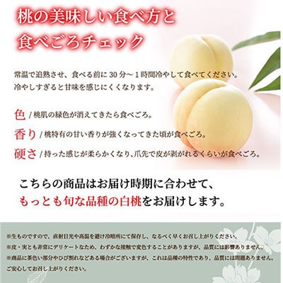 縲仙郁。悟女莉倥大イ。螻ア逋ス譯 繝ュ繧、繝、繝ォ 5縲10邇 2kg 蟯。螻ア逵檎肇縲宣埼∽ク榊庄蝨ー蝓滂シ夐屬蟲カ繝サ蛹玲オキ驕薙サ豐也ク逵後代1305708縲