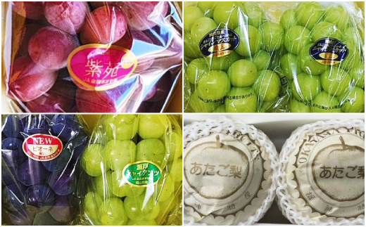 【発送月固定定期便】岡山県産 フルーツ定期便全4回【配送不可地域：離島・北海道・沖縄県】【4075037】