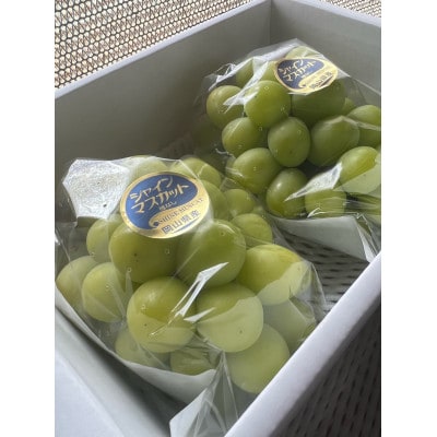 【先行予約 2026年発送】岡山県産　シャインマスカット　2房(合計約1kg)【配送不可地域：離島】【1562241】