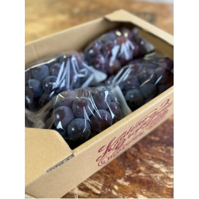 ã2026幎çºéåã岡山çç£ èš³ãã ææã¿ãã¥ãŒããªãŒã 2kg(3ã5æ¿)ãé
éäžå¯å°åïŒé¢å³¶ãã1700083ã