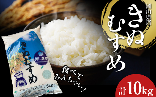 食べてみんちゃい！ 岡山県産米 きぬむすめ 米 お米 ブランド米 銘柄米 備蓄 日本米 コメ ごはん ご飯 食品 TY0-0672