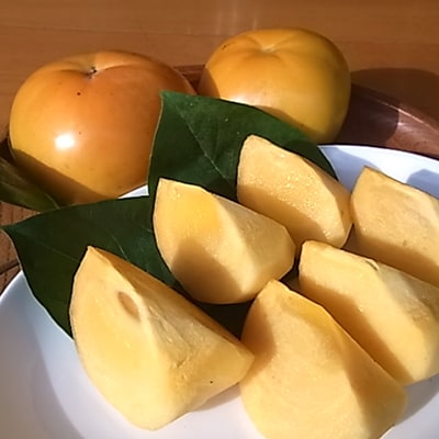 【先行受付】津山産高級大甘柿　太秋大甘柿【配送不可地域：離島】【1035172】