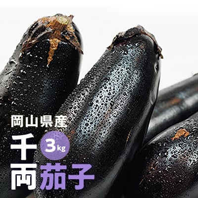 【2026年7月以降発送】なす栽培歴50年の大ベテランが育てた『朝採れ茄子』　3kg【1323067】