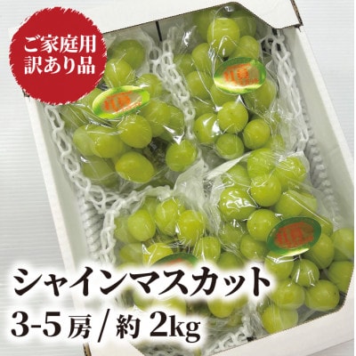 【2026年先行予約】訳あり品 シャインマスカット/約2kg(岡山県産)【配送不可地域：離島】【1602687】
